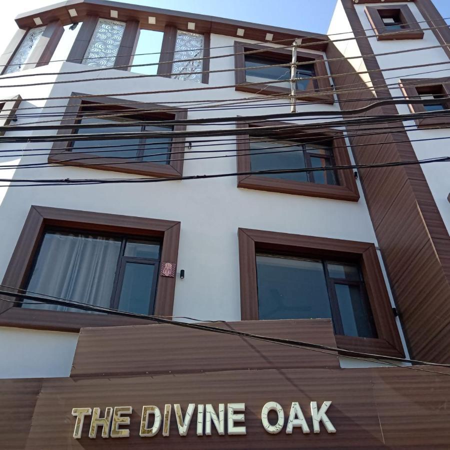 Hotel The Divine Oak à Katra  Extérieur photo